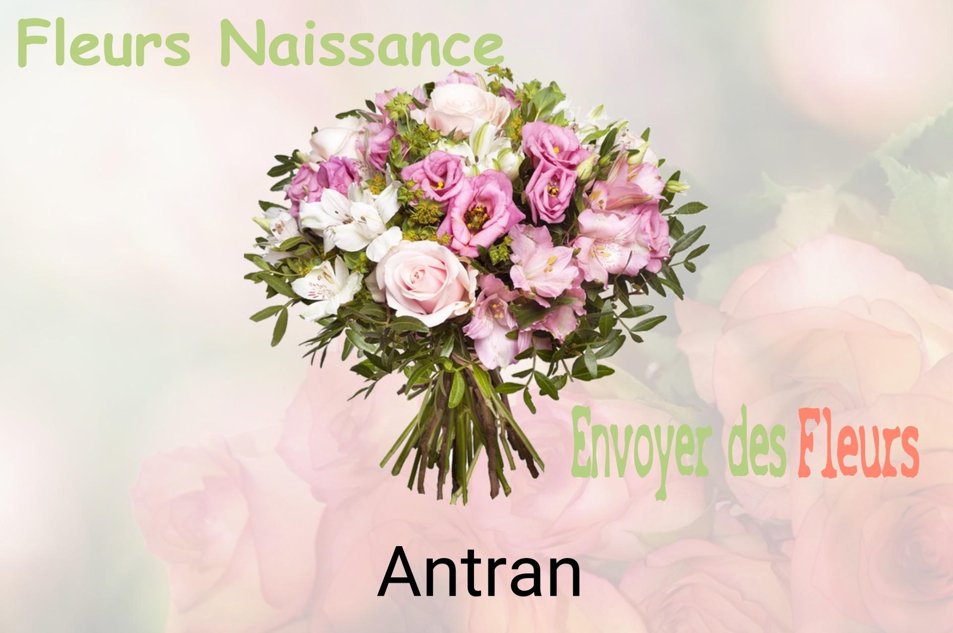 Bouquet de fleurs de naissance livré à Antran