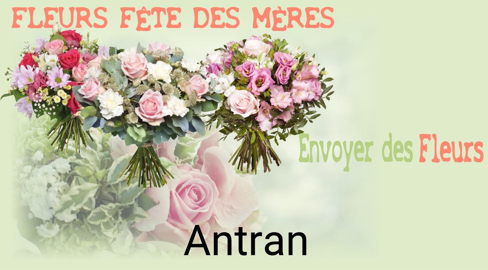 Bouquet de Fête des Mères livré à Antran